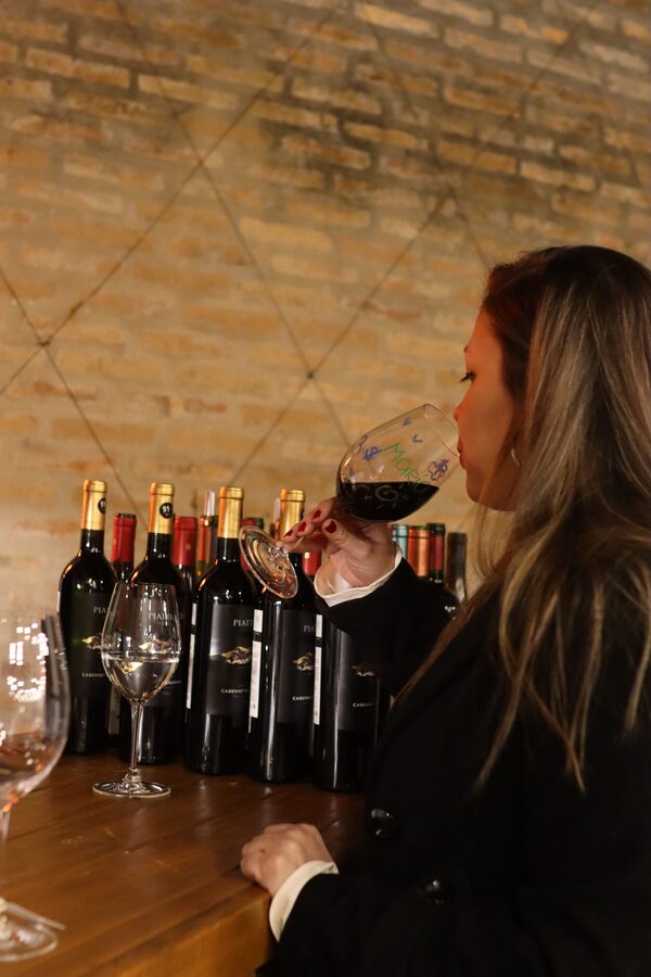 Isidora Wines: Innovando la experiencia del vino en Paraguay