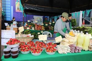Familias de diferentes puntos del país ofertan productos del campo en tres ferias simultáneas - .::Agencia IP::.