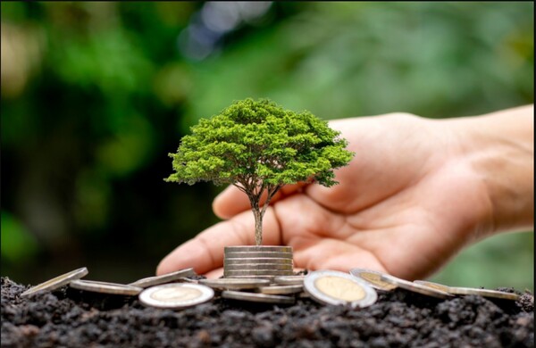 Con USD 35 millones activan el Fondo de Capital Semilla para ayudar a mipymes y startups el país - MarketData