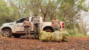 Guardaparques de Itaipu refuerzan vigilancia en franjas de protección del río Paraná - La Clave
