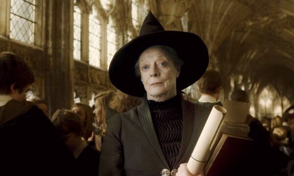 ¡Ñandereja la profe de Harry Potter!