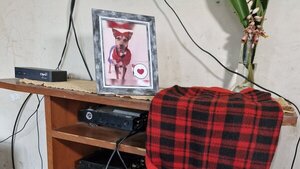 Hicieron un altar en memoria de “Laika”
