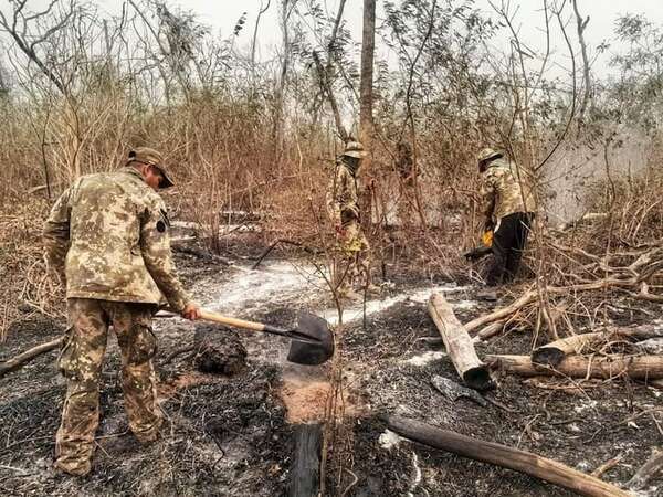 Incendios en el Chaco: si el viento colabora, combate termina hoy - Noticias del Chaco - ABC Color