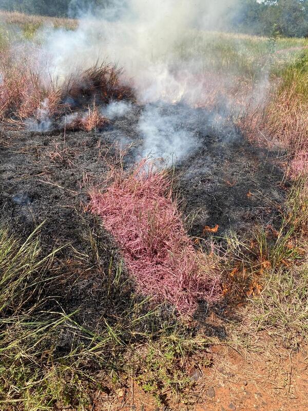 Jóvenes paraguayos desarrollan novedoso producto ecoamigable para combatir incendios - .::Agencia IP::.