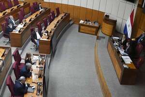 Comisión “garrote” seguirá su agenda Anti-ONG y cita al contralor y al fiscal - Política - ABC Color