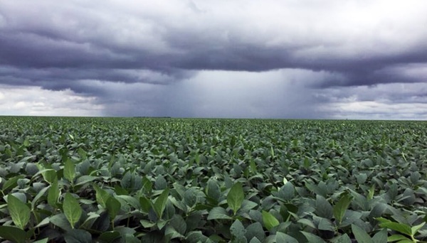 Informe del clima para el campo habla del fenómeno “La Niña”