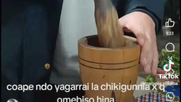 Melania tiene Tik Tok y tira indirectas sobre el "ñembiso"