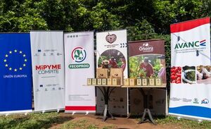 Oñoiru lanza nuevos sabores de yerba mate 100% orgánico