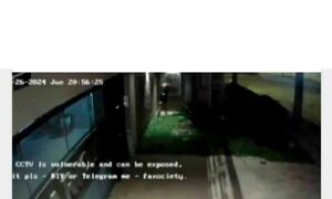 Delincuente intentó abusar de una mujer tras robar en su departamento y la apuñaló con tenedor