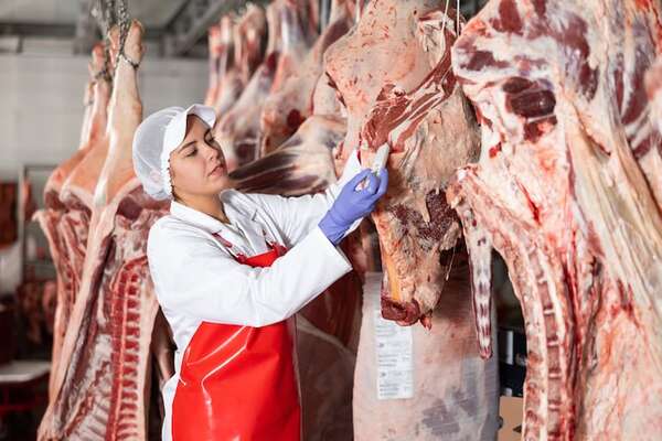 Asado del “fin de” largo: ¿Qué dice la Conacom sobre los precios de la carne? - Economía - ABC Color