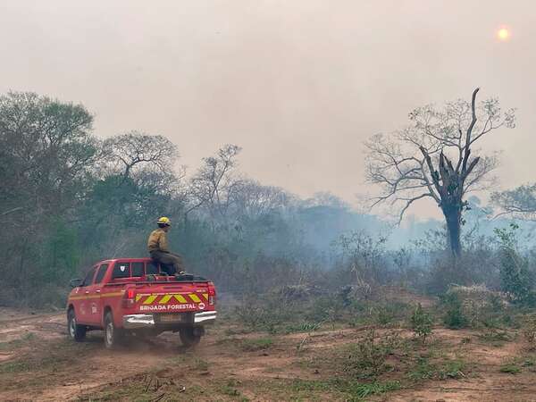 AUDIO: Sofocan incendio en zona del Cerro Chvoreca - Ancho Perfil - ABC Color