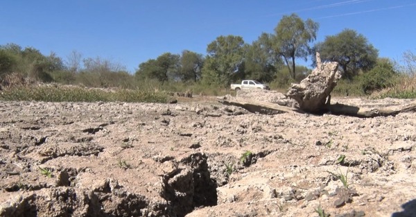 Sequía en el Chaco impacta la agricultura y ganadería