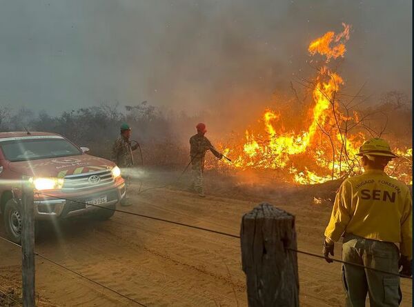 ¡Hasypeve! Incendio en el cerro Chovoreca fue controlado