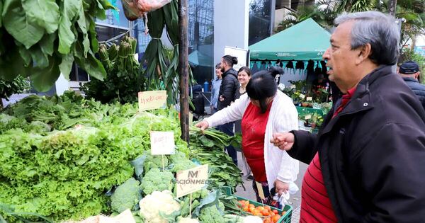 La Nación / Ferias de agricultura familiar recaudan más de G. 55 mil millones en un año