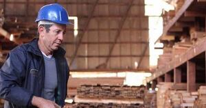 La Nación / EE. UU. fue el principal país de exportación de productos forestales al cierre de agosto