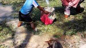 Tras incendios, enfermedades y falta de agua golpean a nativos