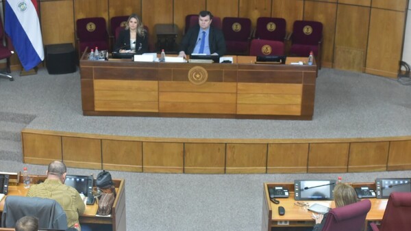 Diputados ajusta modificaciones para aprobar la ley de control a oenegés