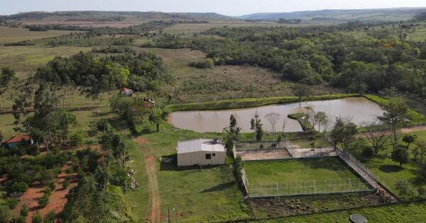 Diario HOY | Incautan arsenal de armas y drogas en estancia de Pedro Juan