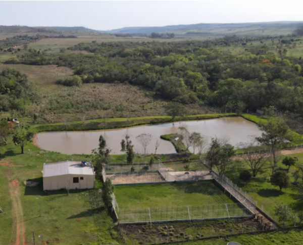 Confiscan arsenal de armas y drogas en estancia de Pedro Juan