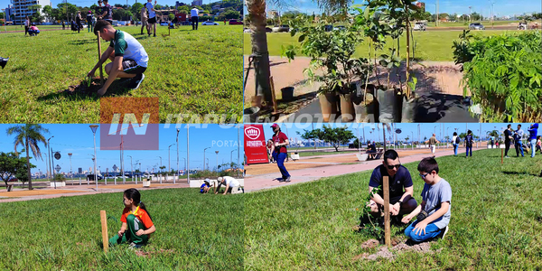UNAE PLANTA 400 ÁRBOLES EN LA 6° EDICIÓN DE “UNAE VERDE” - Itapúa Noticias