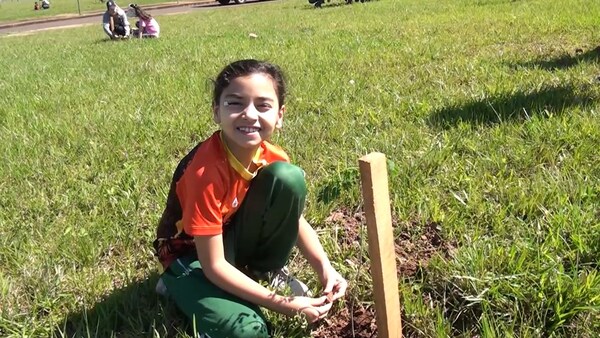 6ª Edición de UNAE Verde: Más de 400 árboles plantados en el "Paseo de los Teros"