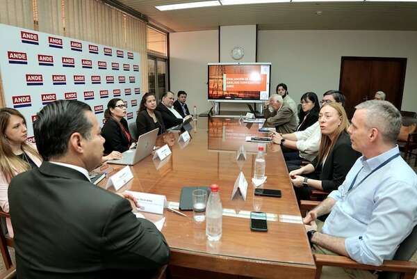 ANDE muestra avances en estudio de eficiencia operativa que es apoyado por el BID - Economía - ABC Color