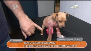 Así va la recuperación de Benito - SNT