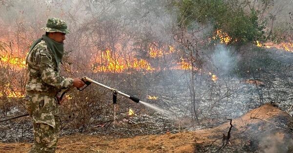Diario HOY | Joko, el producto ecoamigable desarrollado por jóvenes para combatir incendios