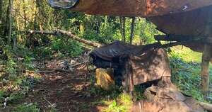 La Nación / Alto Paraná: requisan 1.000 kilos y destruyen seis hectáreas de marihuana
