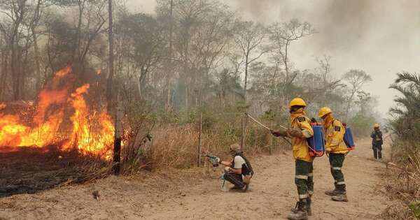 La Nación / Incendios devoraron 7,2 millones de hectáreas en Santa Cruz