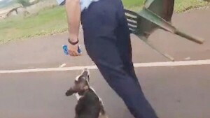 Comisario será investigado por golpear a perrito