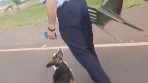 Karai comí que golpeó a un perrito es vicheado por Defensa Animal
