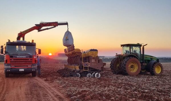 Incertidumbres en el mercado de granos para la campaña agrícola 2024/25