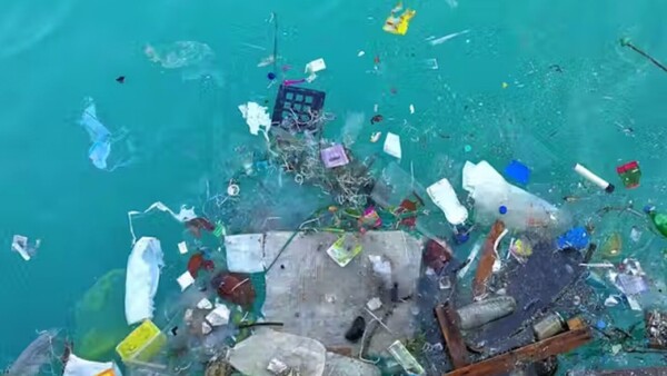 Científicos piden acción global para frenar propagación