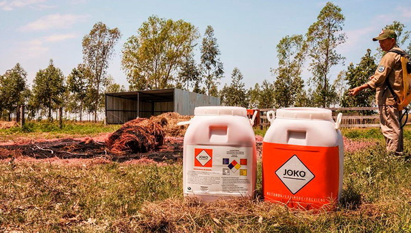 Ataja todo: Joko, la fórmula paraguaya que combate el fuego y alimenta la naturaleza