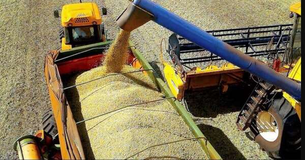 La Nación / Cappro apunta a agregar valor industrial a alimentos