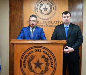 Las ONG alertan violación y piden a la “comisión garrote” ir por vía legal - Política - ABC Color