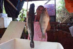 Remanso: pese a la bajante, pescadores bajan precios ante la inminencia de la veda - Nacionales - ABC Color