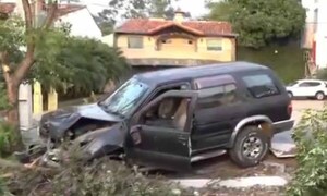 Camioneta eludió a un perro y chocó contra un árbol del paseo central – Prensa 5
