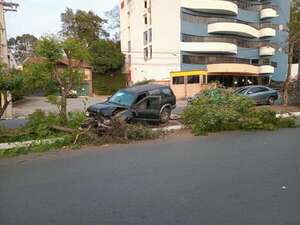 Desvió un perro y chocó contra un árbol del paseo central de la avenida Argaña - Policiales - ABC Color
