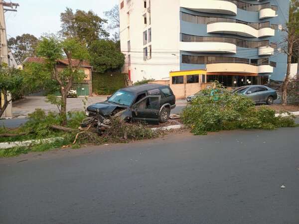 Desvió un perro y chocó contra un árbol del paseo central de la avenida Argaña - Policiales - ABC Color