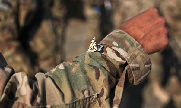Llegaron 8 instructores de EEUU para capacitar a militares paraguayos - ADN Digital