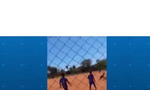 (VIDEO)Peloteros se agarraron a golpes en un amistoso