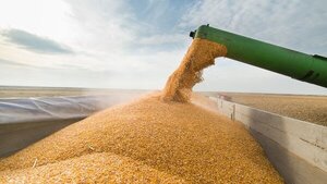 El mercado de granos se encuentra con perspectivas optimistas, reporta Capeco - La Clave