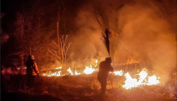 Bolvia declara desastre nacional por incendio forestal incontrolable que azota el país