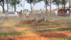 Carrera de caballo casi termina en tragedia en Itapúa