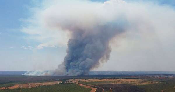 La Nación / Brasil se ahoga con la contaminación de los incendios