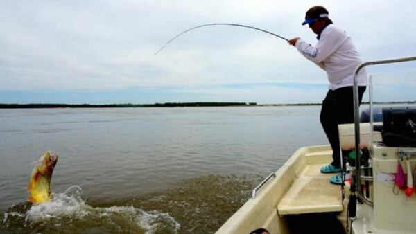 ¿Cómo sanciona el MADES a pescadores ilegales durante bajante histórica de los ríos Paraguay y Paraná?