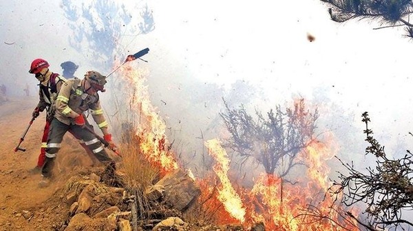 Bolivia decreta "desastre nacional" por incendios forestales - ADN Digital