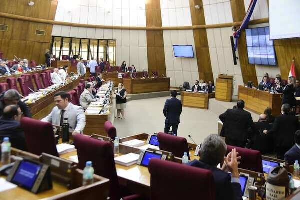 Con ayuda del Ejecutivo, en Diputados intentarían salvar mamotreto anti-ONG - Política - ABC Color